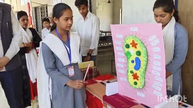 महसी: राजी चौराहा पर आयोजित विज्ञान प्रदर्शनी में छात्रों ने दिखाया अपना हुनर, शिक्षक हुए प्रभावित।