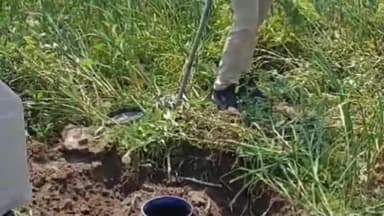 जमुई: बालाडीह गांव में उत्पाद विभाग की टीम ने की छापेमारी, 4600 किलो जावा महुआ और 53 लीटर चुलाई शराब की नष्ट