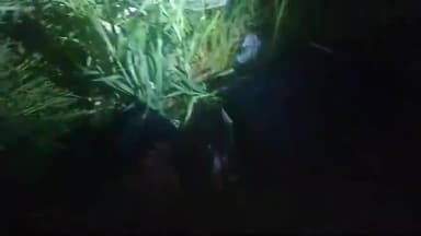 सिराथू: अनेथा गाँव के कई घरों में हुई चोरी, खेतों में मिले लोगों के सामान