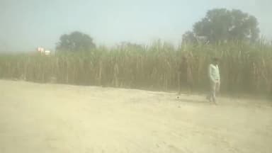 मक्सोहा गांव के अंतर्गत आता है भोगी पुरवा गांव खेत मालिक व ग्रामीणों के बीच कभी भी बड़ा विवाद हो सकता है पारस पत्रकार