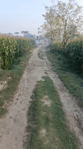 रोड नहीं तो वोट नहीं 🙏
#ramdeli #mahakalanand #trendiingnews