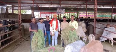 राष्ट्रीय बजरंग दल तहसील सुरक्षाप्रमुख का जन्मदिन सेवा कार्य कर मनाया ओर लोगो को भी ऐसे ही जन्मदिन मनाने के लिए सुझाव दि