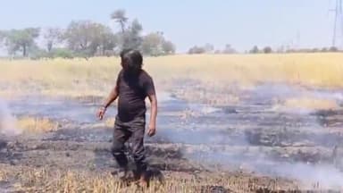 दलौदा: मंदसौर जिले के दलोदा थाना क्षेत्र के दलोदा रेल में गेहूं के खेत में शॉर्ट सर्किट से लगी आग हुआ किसान का नुकसान