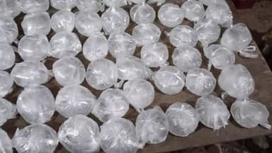 अररिया: नवटोलिया से 51 लीटर देसी शराब व एक बाइक के साथ एक युवक को पुलिस ने किया गिरफ्तार