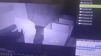 हुज़ूर: लालघाटी, एयरपोर्ट रोड और प्रभात चौराहे स्थित ऑटो डीलर्स के यहां से चोरों ने चुराए वाहन ।