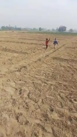 बेटी आस्था कुशवाहा व वैष्णो खेत मे चिडिया को उडाती हुयी