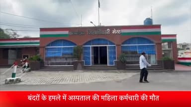 मेरठ: लालकुर्ती क्ष्रेत्र में बंदरों के हमले में महिला  की मौत,बंदरो से बचाने के लिए मुख्यमंत्री तक गुहार