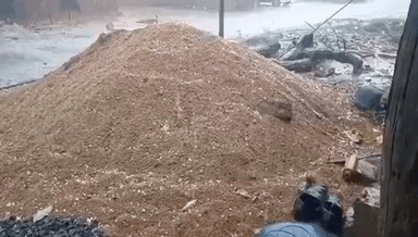 सिंगरौली: ज़िले में तेज बारिश के साथ गिरे ओले, किसानों की फसलें हुई चौपट