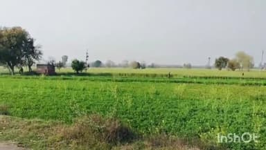 ਭਿੱਖੀਵਿੰਡ: ਪਿੰਡ ਡੱਲ ਵਿਖੇ ਪਾਕਿਸਤਾਨ ਦੀ ਤਰਫੋਂ ਇੱਕ ਡਰੋਣ ਦੀ ਭਾਰਤ ਅੰਦਰ ਸੁਣਾਈ ਦਿੱਤੀ ਤਾਂ ਬੀਐਸਐਫ ਅਤੇ ਪੰਜਾਬ ਪੁਲਿਸ ਨੇ ਸਰਚ ਅਭਿਆਨ ਚਲਾਇਅਾ ਗੲੀਅਾ