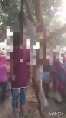 डुमरी कटसरी: जहांगीरपुर पंचायत के लीची के बागान में जीजा और साली ने फांसी लगाकर किया आत्महत्या, जांच में जुटी पुलिस