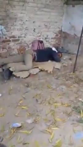 हमीरपुर: मुख्यालय के बस स्टैंड के पास देसी ठेके के बाहर शराब के नशे में सड़क पर पड़ा मिला सिपाही