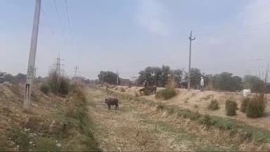 रामगंगा नहर, करारी माइनर नहर समेत जिले की सभी सूखी नहरों में टेल तक जलापूर्ति किए जाने की मेरे द्वारा सिंचाई विभाग और जिला प्रशासन कौशांबी से मांग की गई। अजय सोनी