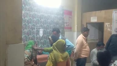 इकौना: खरगौरा गनेश में खेत जा रही महिला पर मधुमक्खी ने किया हमला, हुई घायल