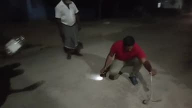 பண்ருட்டி: பூங்குணம் பகுதியில் வீட்டின் சமையல் அறையில் குளிர்சாதன பெட்டி அடியில் இருந்த 2½ நீளமுள்ள நல்லபாம்பு பத்திரமாக மீட்கப்பட்டு காப்பு காட்டில் விடப்பட்டது