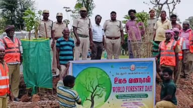 விருத்தாசலம்: உலக வனநாளை முன்னிட்டு வனத்துறை சார்பில் விருத்தாச்சலம் மாநில சாலை, பேரளையூர் பகுதியில் 750 மரக்கன்றுகள் நடப்பட்டது