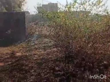 बल्देवगढ़: विद्युत शॉर्ट सर्किट के चलते बल्देवगढ़ SDM कार्यालय के पीछे लगी आग, मौके पर पहुंची फायर ब्रिगेड