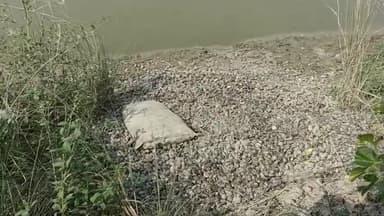 सवायजपुर: पाली क्षेत्र में नहीं थम रही प्रतिबंधित सीप की तस्करी, पुलिस ने गर्रा नदी किनारे से पकड़ी 14 कुंटल प्रतिबंधित सीप