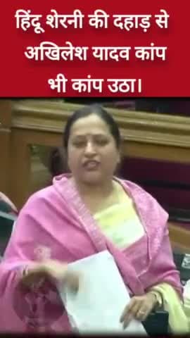 #sherni#jai Hind Jai Bharat#newsupdaewste