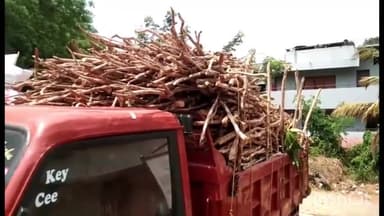 പട്ടാമ്പി: ചന്ദന കടത്ത് കേസിലെ പ്രതികളുമായി മരുതൂർ പൂവക്കോട് വനമേഖലയിൽ തെളിവെടുപ്പ് നടത്തി