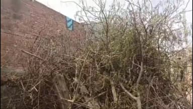 सिराथू: कोखराज इलाके के रिहायशी इलाके में इकट्ठा की गई होलिका दहन की लकड़ियां, आग से हो सकता है हादसा