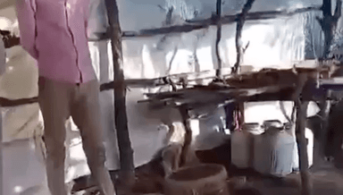 सिंगरौली: ग्रामीण अंचलों में बिक्री हेतु बनाई जा रही थी अवैध शराब, बरगवां पुलिस ने 40 लीटर अवैध शराब के साथ लाहन किया जब्त