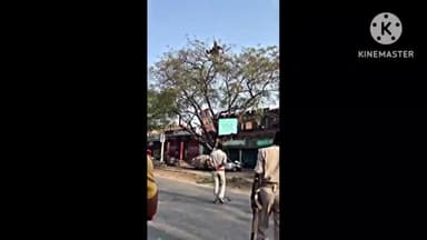 गुठनी: गुठनी चौराहे के समीप पुलिस को देख शराबी पेंड पर चढ़कर किया हंगामा वीडियो हुआ प्रसारित