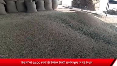 शाजापुर: किसानों को ₹2400 प्रति क्विंटल मिलेंगे समर्थन मूल्य पर गेहूं के दाम, कलेक्टर ऋजु बाफना ने जारी किए निर्देश