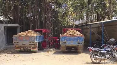 रानीवाड़ा: रानीवाड़ा पुलिस की बड़ी कार्यवाही अवैध पत्थर परिवहन करते दो ट्रैक्टर ट्राली को किया जब्त