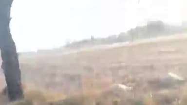 सीतामऊ: मंदसौर जिले के नाहरगढ़ थाना क्षेत्र के गांव कोटड़ा बहादुर में 93 भेड़ों की मौत के मामले में विसरा जांच के लिए भेजा