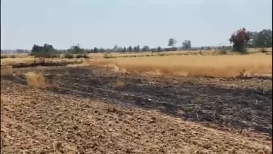 रैपुरा: आज रैपुरा तहसील के बड़ागांव में लगी भीषण आग विधुत विभाग की लापवरवाही से 6 एकड़ की फसल  जलकर हुई खाख।