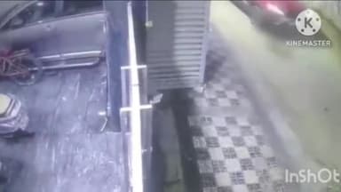 आगरा: कमला नगर में सड़क पर सो रहे स्वान पर कार चालक ने चढ़ाई कार,CCTV आया सामने, कॉलोनी वासियों ने कार चालक पर मुकदमें की मांग