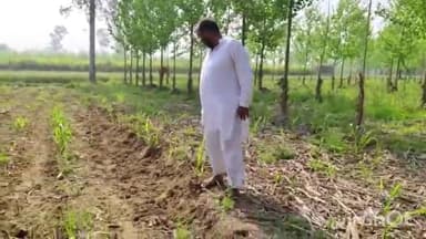 जानसठ: ककरौली क्षेत्र के गांव दौलतपुर मे पीड़ित किसान ने पड़ोसी दबंगो पर जमीन कब्जाने का लगाया आरोप,कार्यवाही की गुहार