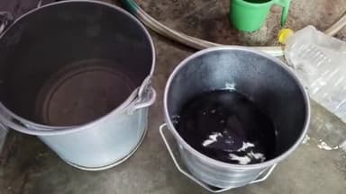 पुन्हाना: पुन्हाना के वार्ड नं 14 में नलों से घरों में पहुंच रहे दूषित व बदबूदार पानी से लोग परेशान