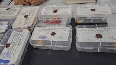 झाँसी : JRP और RPF ने ट्रेन में चोरी करने वाले चोरों को किया गिरफ्तार, मोबाइल जेवरात बरामद