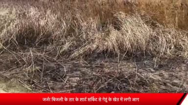 घोसी: करपिया मलिक बंजारी में बिजली की जर्जर तार के शार्ट सर्किट से लगी आग, दो मंडा गेहूं की फसल जलकर हुई खाक