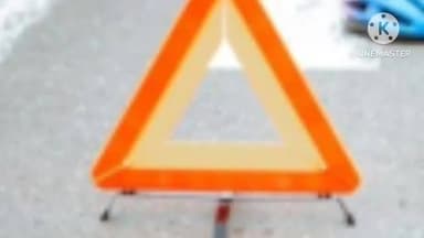 रनियां: रनिया बाजार टांड़ के समीप ऑटो पलटने से छात्र व चालक घायल