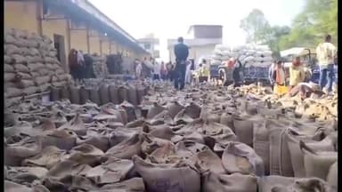 गुनौर: जिले में 15 मई तक होगा गेहूं उपार्जन खरीदी का कार्य, जिला कलेक्टर ने दी जानकारी