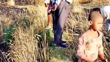 जमुनहा: जमुनही में शार्ट सर्किट से लगी आग 05बीघा गेहूं जलकर हुआ राख