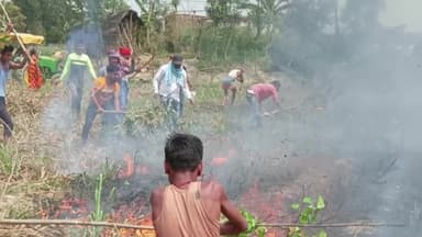 हायाघाट: हायाघाट के हथौरी भगवतीपुर गांव में खेत में काट कर रखे गेहूं में लगी भीषण आग किसानों ने खुद के प्रयास से आग पर पाया काबू