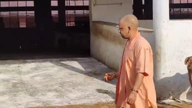 गोरखपुर: मुख्यमंत्री योगी आदित्यनाथ ने गोरखनाथ मंदिर की गौशाला में की गौ सेवा