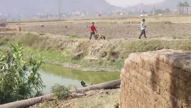 शेखपुरा: उत्पाद विभाग की टीम ने जिले के अगबिल चाडे गांव से ड्रोन और डॉग स्क्वायड की मदद से 2000 किलो छोवा गुड़ किया बरामद