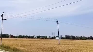 गोरखपुर: गर्मी के मौसम में शॉर्ट सर्किट से जिले के विभिन्न खेतों में आग लगने की दुर्घटना को रोकने के लिए बिजली विभाग ने कसी कमर