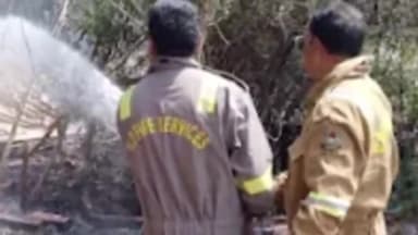 करछना: नैनी सब्जी मंडी के पास झाड़ियों में अज्ञात कारणों से लगी भीषण आग,फायर ब्रिगेड ने आग पर पाया काबू