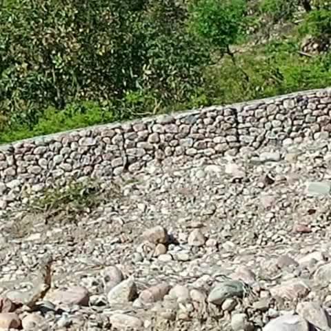 टिहरा: बरसात में बेघर हुए दलितों को न मिली ज़मीन न मिला किराया, सरकार की सभी घोषणाएं हुई हवा हवाई: माकपा नेता भूपेंद्र सिंह