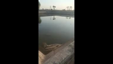 राजौंद: राजाैंद में जन स्वास्थ्य अभियांत्रिकी के टैंकाें में नहरी पानी खत्म होने के कगार पर पहुंचा