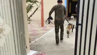 नौरोजाबाद: छादा खुर्द नौरोजाबाद में दिनदहाड़े सूने घर मे पीछे का दरवाजा तोड़कर घुसे चोर ज्वेलरी सहित नगदी हुई पार