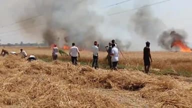 करछना: अन्तहिया,खाई एवं बैकुंठपुर गांव के मध्य शॉर्ट सर्किट से गेहूं की फसल में लगी आग, 50 बीघा से अधिक फसल जलकर राख।