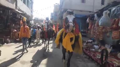 बिहार: श्री श्री 108 नागा बाबा उदासीन आश्रम महल पर से 151 कलश शोभा यात्रा निकल गई,24 घंटे का अखंड कीर्तन का भी आयोजन किया गया।