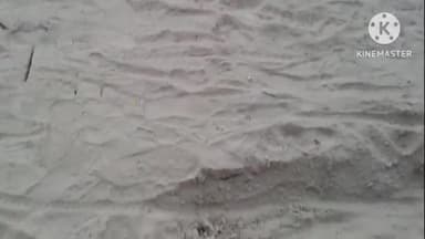 चेरिया बरियारपुर: पबरा मध्य विद्यालय में मुखिया के द्वारा घटिया सामग्री से कराए जा रहे निर्माण कार्य पर ग्रामीणों का फूटा गुस्सा, आंदोलन