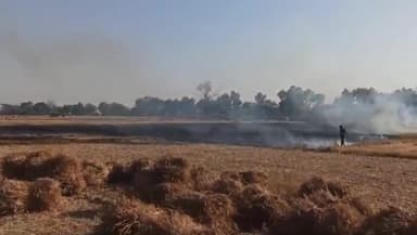 घोसी: सरबसपुर में कारणों से गेहूं के खेत में लगी आग, किसानों का पांच बीघा गेहूं की फसल जलकर हुआ खाक